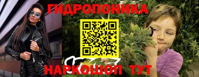 шишки Бийск