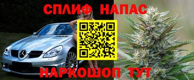 шишки Бийск