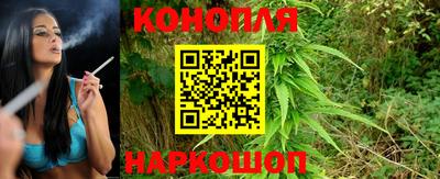 мяу мяу мука Беслан