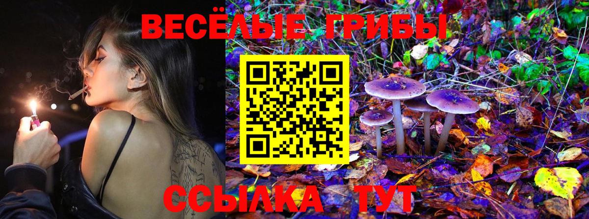 Ирбит  Псилоцибиновые грибы прущие грибы  Вход с VPN 